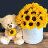 sunflower &amp; Box sunflower, teddy bear 