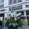 White orchids and succulents arranged in a black planter