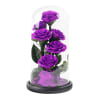 Purple roses under a clear glass dome on a black base