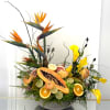 Tropical floral arrangement with bird of paradise, calla lilies, and sliced fruit in a bowl