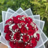 Bouquet of red roses with white baby's breath in white wrap