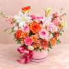 Pink and orange mixed bouquet in a round pink box with ribbon