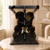Black rose teddy bear in a clear gift box with ribbon and lights