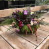 Rectangular oasis of mixed blooms