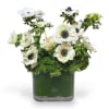 White anemones arranged in a square glass vase with green filler
