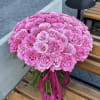 Large bouquet of pink roses tied with a magenta ribbon