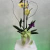 Yellow orchids in a white pot with decorative butterflies and ribbon