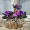 Purple African violets in a wicker basket with a butterfly decoration
