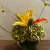 Illuminate any space with this vibrant and uplifting arrangement. Featuring a radiant