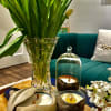 Introducing our newest luxe candle line: Mademoiselle Grande Bougie &amp; Petit Bougie&mdash;a