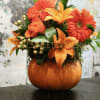 Orange floral arrangement in a pumpkin container