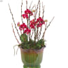 Vibrant orchids of hot pink color set in a stylish green ceramic