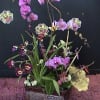 phalaepnosis arrangements in a bronze tin vase