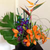 Mixed exotic tropical arrangements 