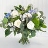 Beautiful School Colors, Blue and White,, perfect for graduation!