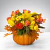 Combine your Flower Power with Pumpkin Power with this wonderful, dare we