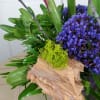 2 Bird of Paradise make a statement on their own.  With