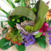 I love the grace and elegance of Birds of Paradise.  They