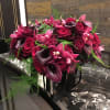 eggplant callas , Burgundy cymbidium orchids , red roses 