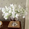white sweet peas