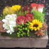 10&quot;x12&quot; by 3&quot; deep reclaimed wooden box. Filled with roses,sunflower, hydrangea, hypericium