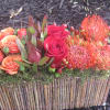 Rectangle bamboo container filled with roses,pin cushions,spray roses,leucadendron,hypericum and moss