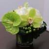 A small mix of orchids, hydrangeas and more. 