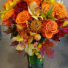 Medley of jewel  tone autumnal colors 