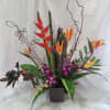 Tropical flowers: birds of paradise, heliconia and orchids in a dynamic tropical