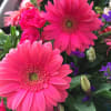 Hot pink Gerbera flower arrangement, bright colorful arrangement