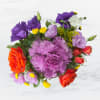 This arrangement is seeking a comfortable home. It is willing to impress