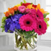 Bright Summer colors