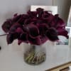 3 dozen black arum calla lily in a glass container