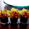 Collection of 3 small floral arrangements in seasonal colors &amp; flowers. 