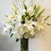 Casablanca lilies with white Hydrangeas arrive in a stylish clear glass vase.