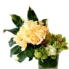 Beautiful yellow roses in a bunch offset by cymbidium orchids in a