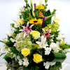 Elegant arrangement originally $299.99 discounted to $199.95. Arrangement is 3 feet tall
