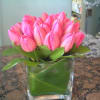 ten pink  tulips in vase