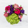 This arrangement includes hot pink roses, pink roses, green hydrangea, freesia, lisianthus