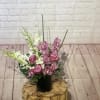 Pink cymbidiums &amp; White orchids accented by lavender rose in a finely