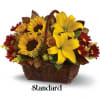 Send warm autumn sunshine to a special friend or relative with this