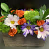Capture the beauty of the seasons in bloom with our Simple Charm