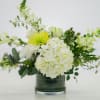 Light and tender, this arrangement is full of peace