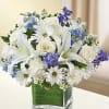 Healing Tears - Blue and White