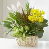 With Love Dish Garden &amp; Fresh Cut Flowers