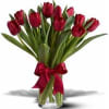 White Tulips