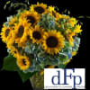 Denver Flower Pros Flowers created this lush and large sunflower arrangement 