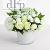 A pure white and green flower arrangement made with pure white premium