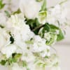 Indulge in an all white and cream palette featuring our freshest florals