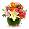Show someone you&rsquo;re thinking of them with a charming presentation &ndash; this